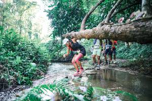 BIB: 
                            <button type="button" onclick="openModal(25443125)" class="btn btn-primary btn-sm float-right btn-popup" data-toggle="modal" data-target=".modal-high-quality">
                        <i class="fas fa-shopping-cart"></i> Add to Cart
                    </button>
                                            <button type="button" onclick="isThisMe(25443125, true)" class="btn btn-success btn-sm float-right btn-popup btn-isme hidden" data-toggle="tooltip" data-placement="bottom" title="นี่คือรูปของคุณใช่ไหม คลิกที่นี่เพื่อเอาเข้าอัลบั้ม">
                        <i class="fas fa-plus"></i> Add to album
                    </button>
                    <button type="button" onclick="isThisMe(25443125, false)" class="btn btn-warning btn-sm float-right btn-popup btn-isnotme hidden">
                        <i class="fas fa-ban"></i> Remove from album
                    </button>